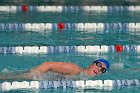 Swimming vs Babson  Wheaton College Swimming vs Babson College. - Photo By: KEITH NORDSTROM : Wheaton, Swimming, Babson